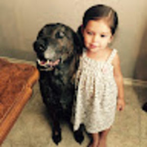 Meet your Posher, Ben